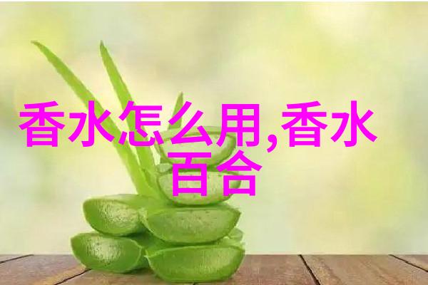 夏日回忆 海的味道