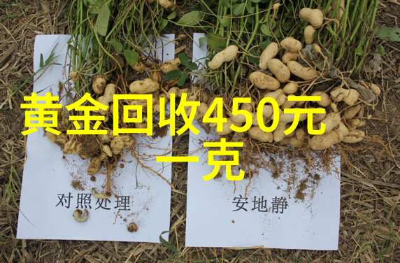 REVIEW洄顾丨生活中的小小仪式感