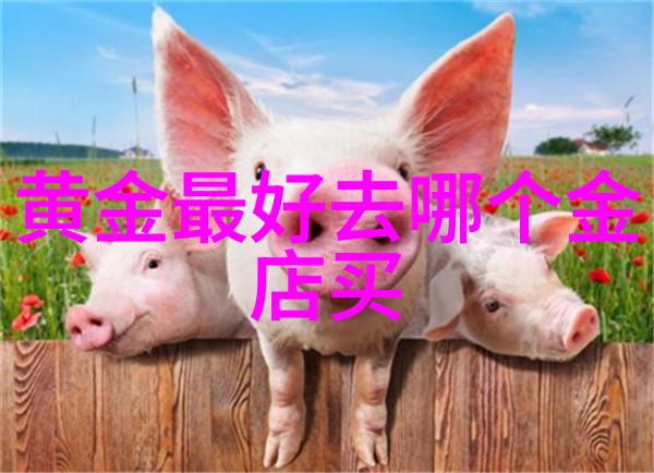 AGIRARD鐜戦亹鐝犲疂锛岄倐閫呮硶寮忔氮婕