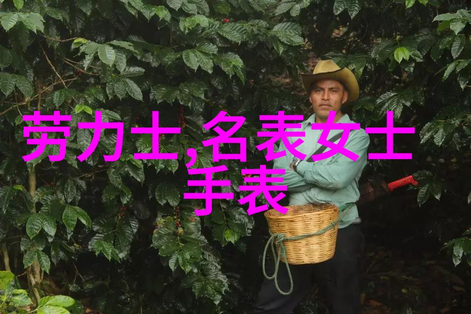 炒货的素质公道的价格10万以内最佳沛纳海